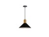 Thumbnail LUMINARIA COLGANTE  NEGRO D240